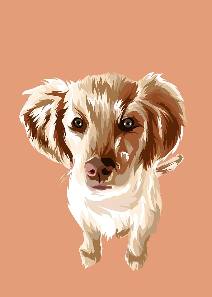 Cute dogs