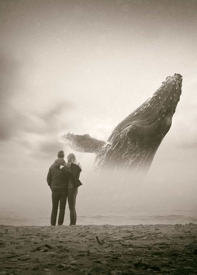 Together through dreams