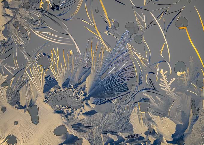 Alien Planet Seabed III