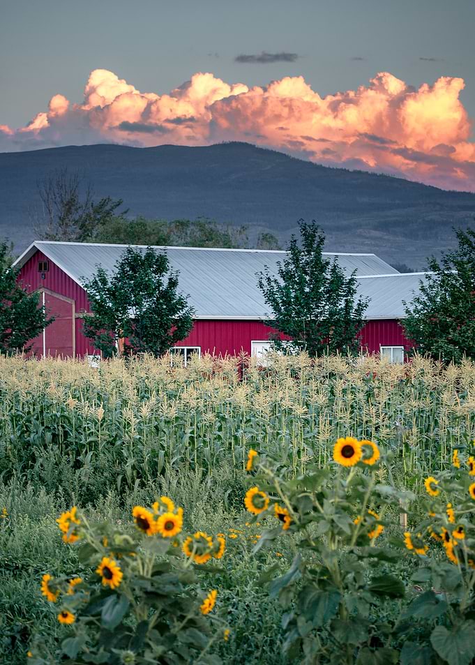 Kelowna Farm