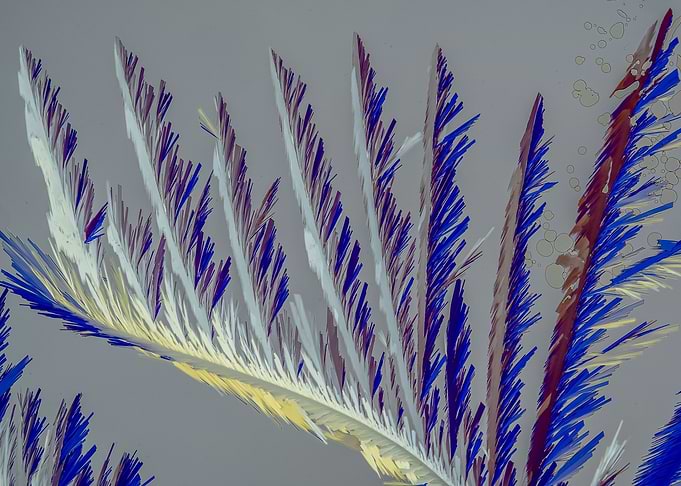 Vitamin C Feathers IV