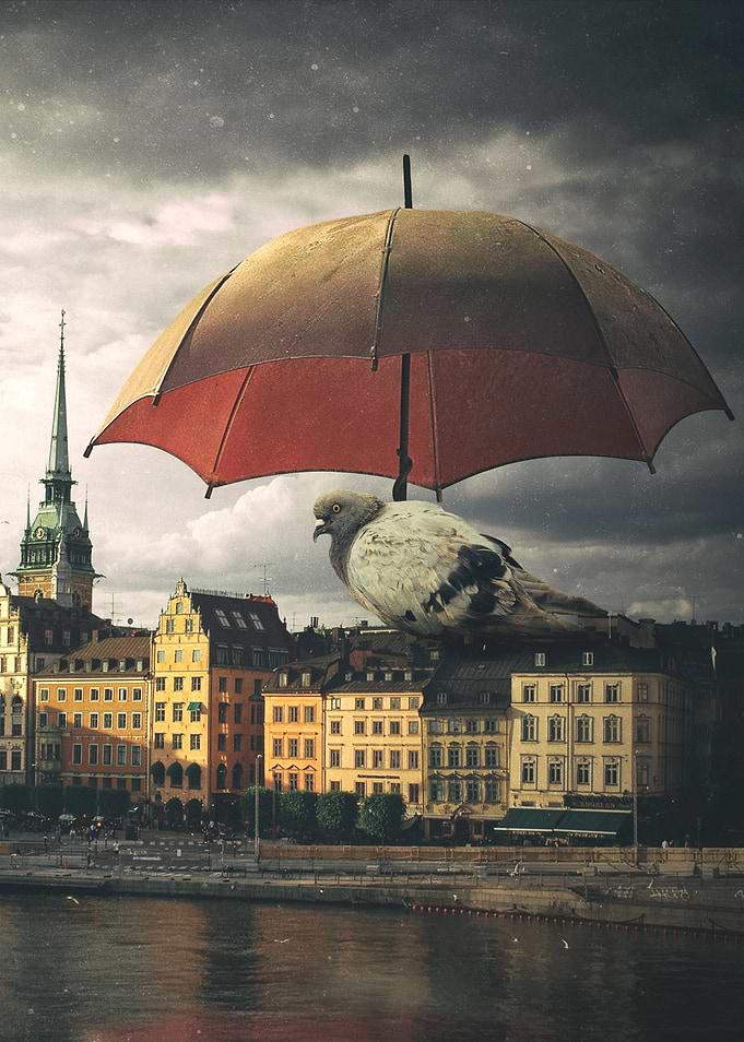 Postcard from Stockholm