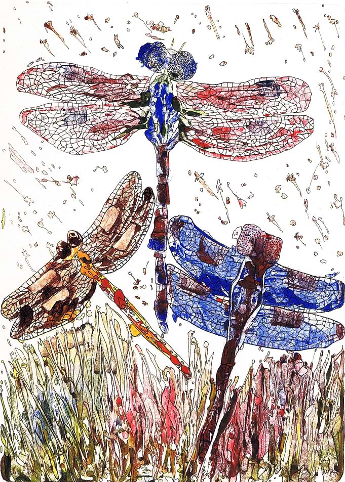 Dance of three dragonflies