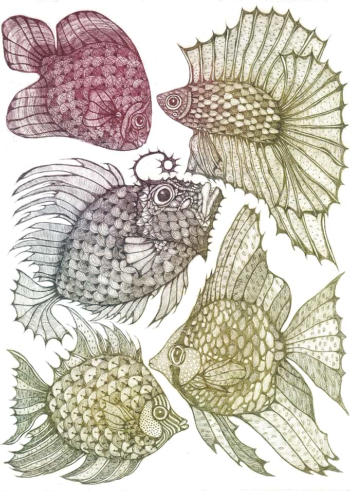 Colorful aquarium 3