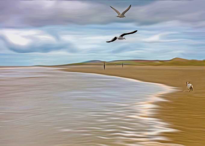 Run In the tide