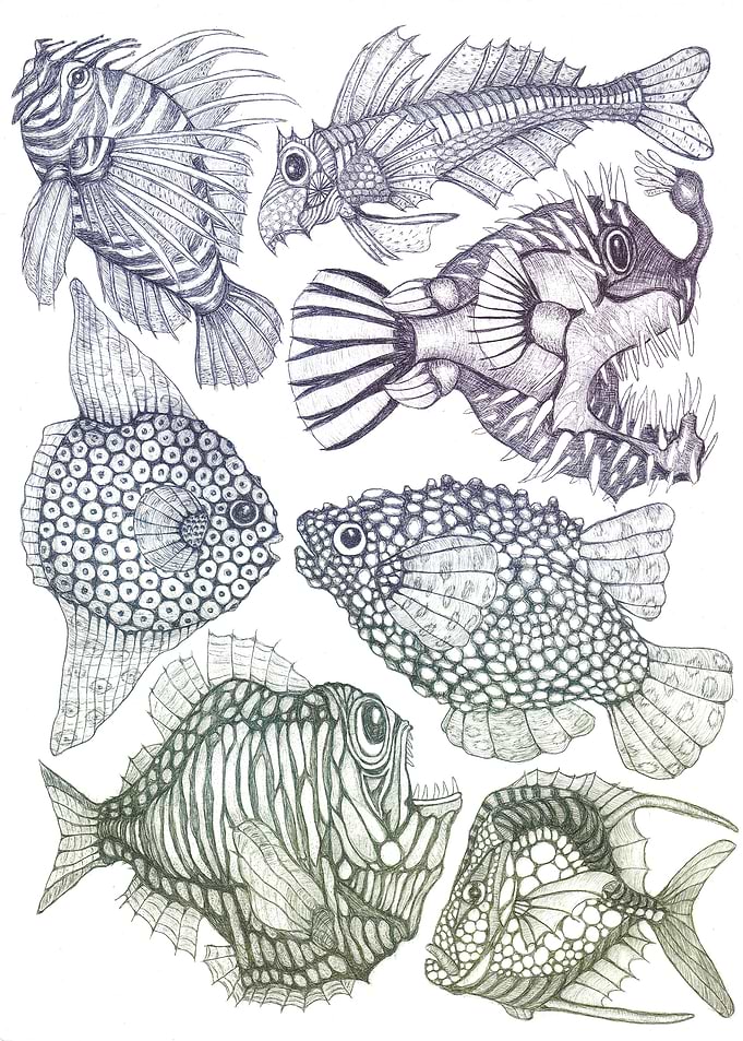 Aquarium with seven fish 1