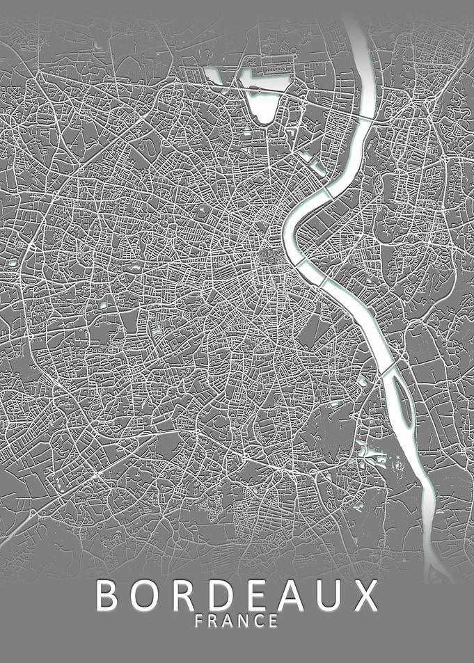 Bordeaux Grey City Map