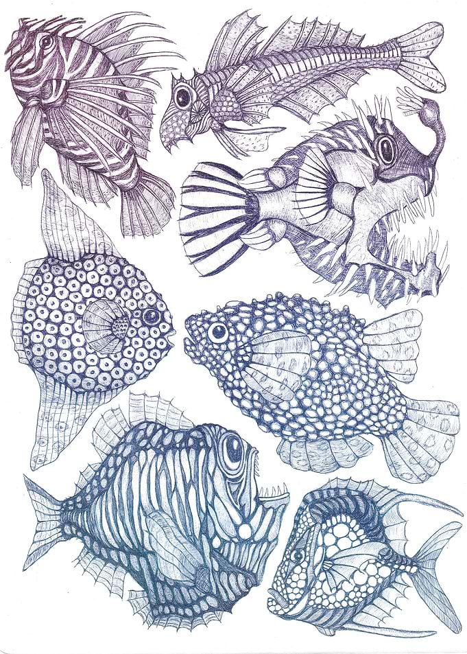 Aquarium with seven fish 2