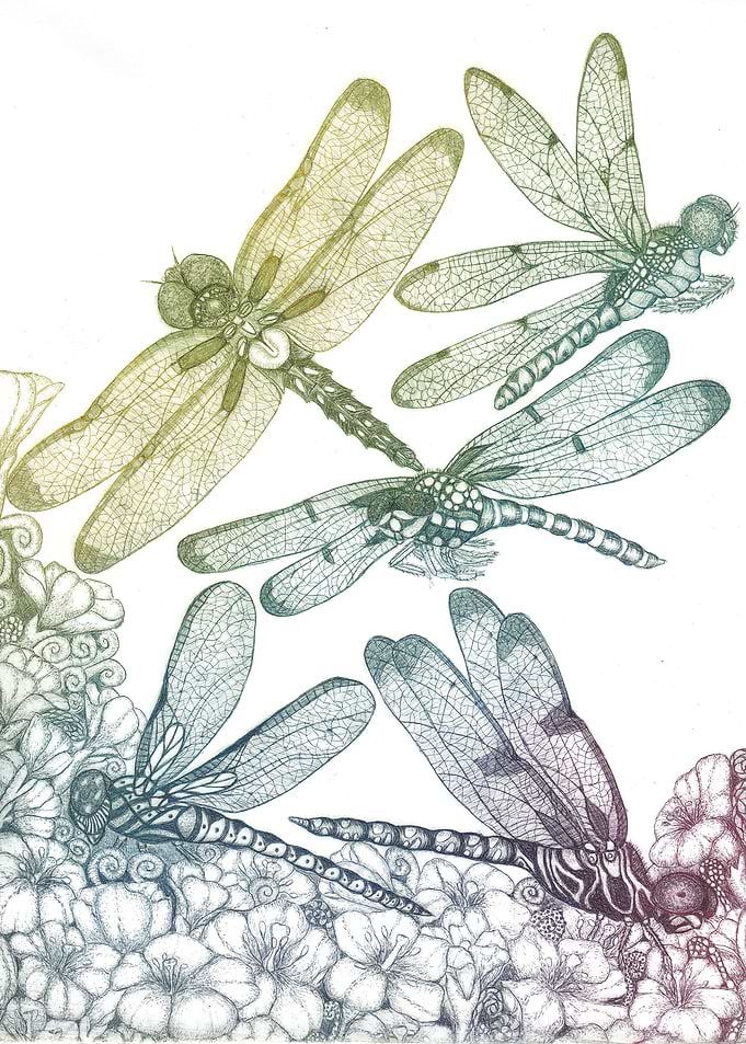 Dragonflies and flowers 1