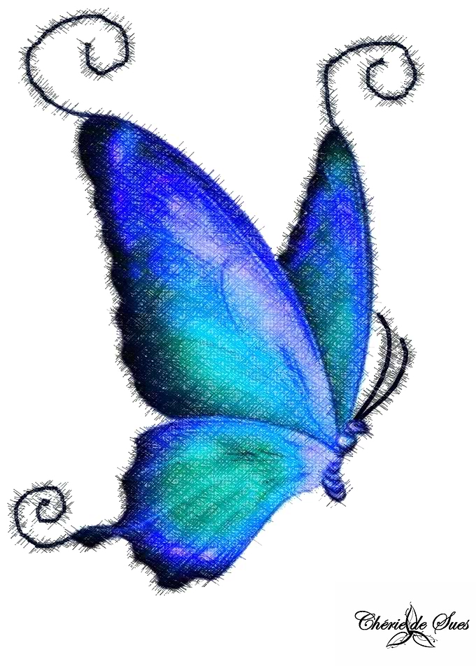 Aqua Blue Butterfly