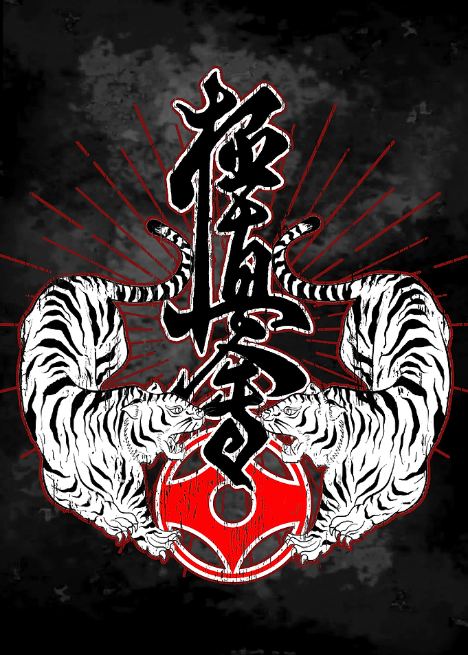 Kyokushin Karate Art