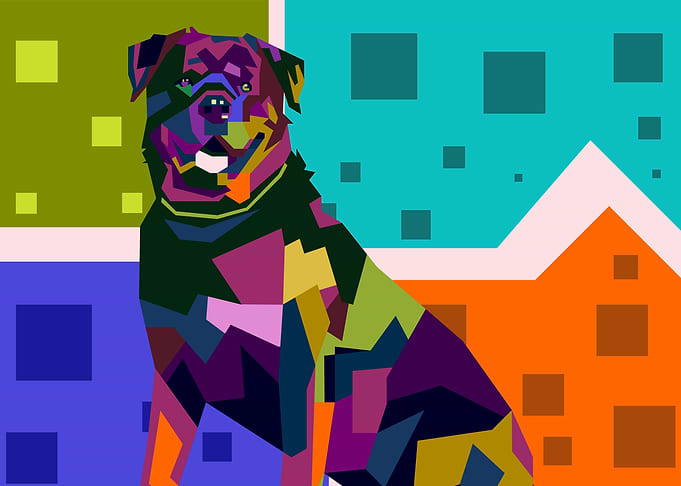 Pitbull in WPAP