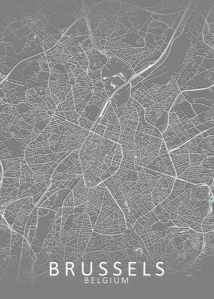 Brussels Grey City Map