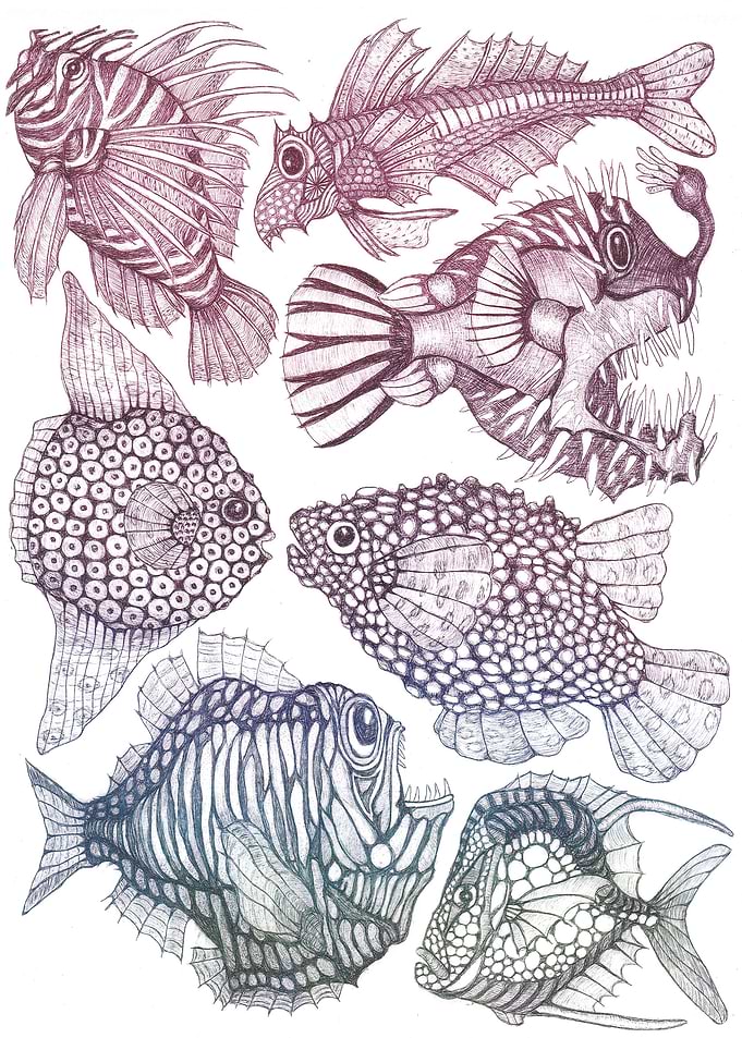 Aquarium with seven fish 3