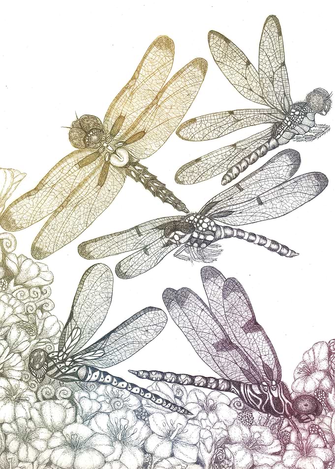 Dragonflies and flowers 4