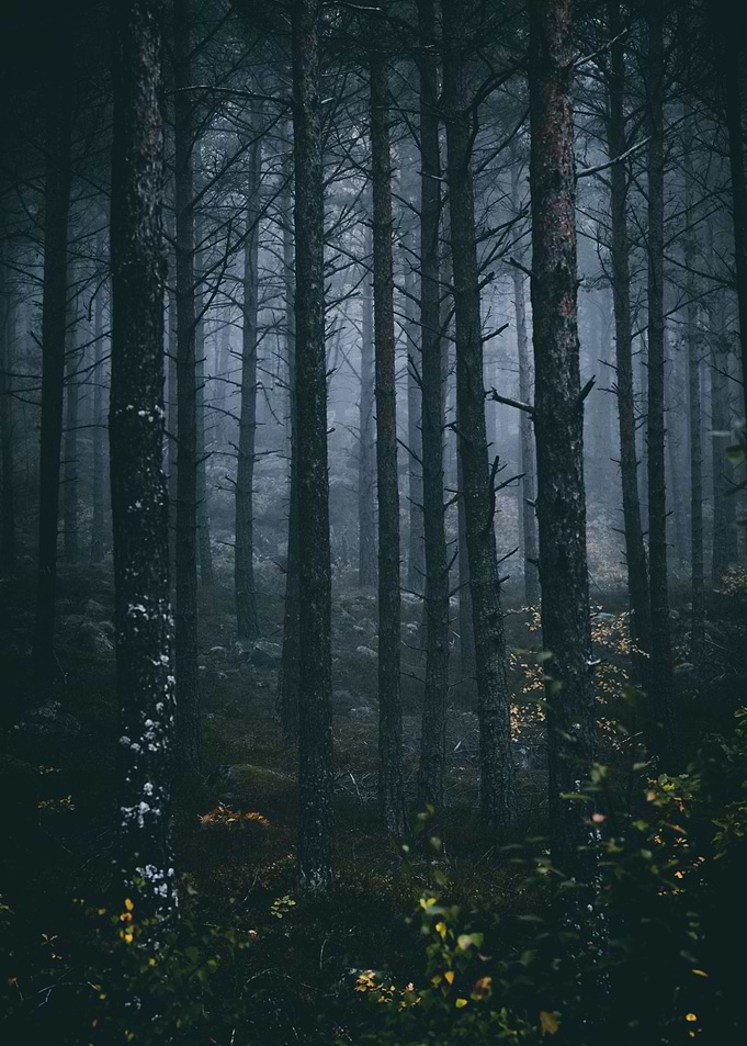 Blind Ghosts