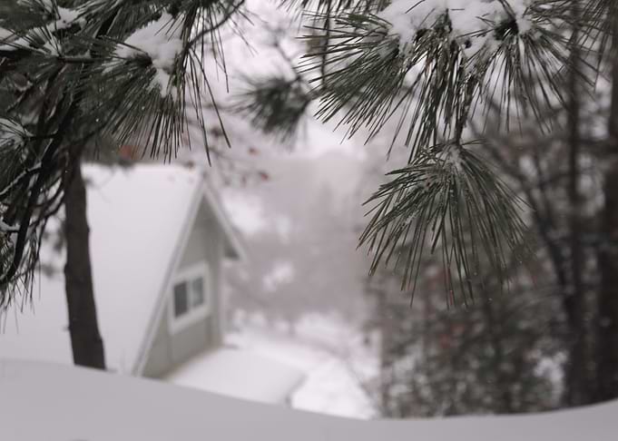 winter house