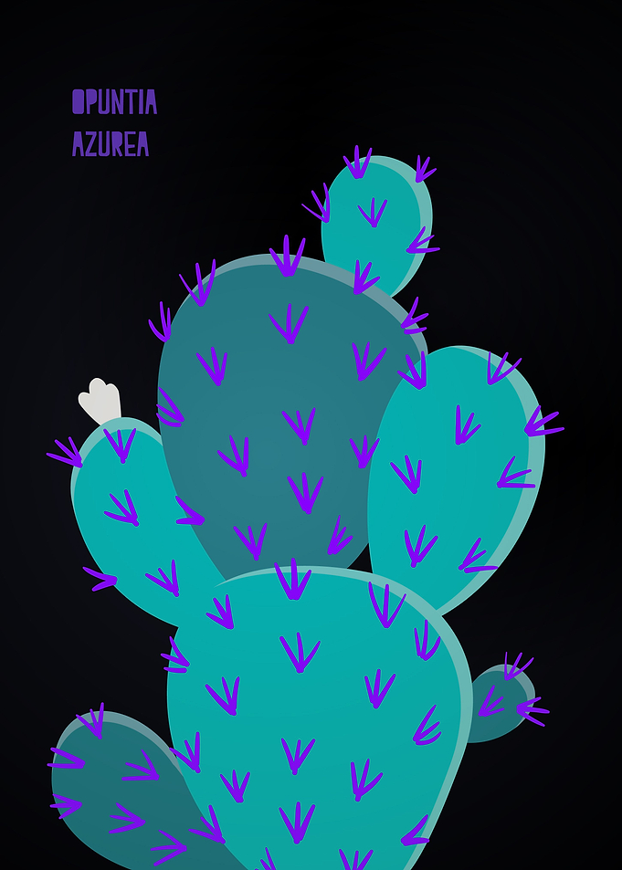 Cosmic Cactus