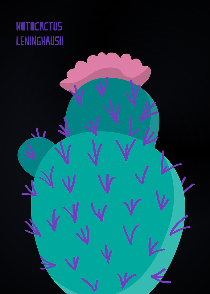 Magical Cactus