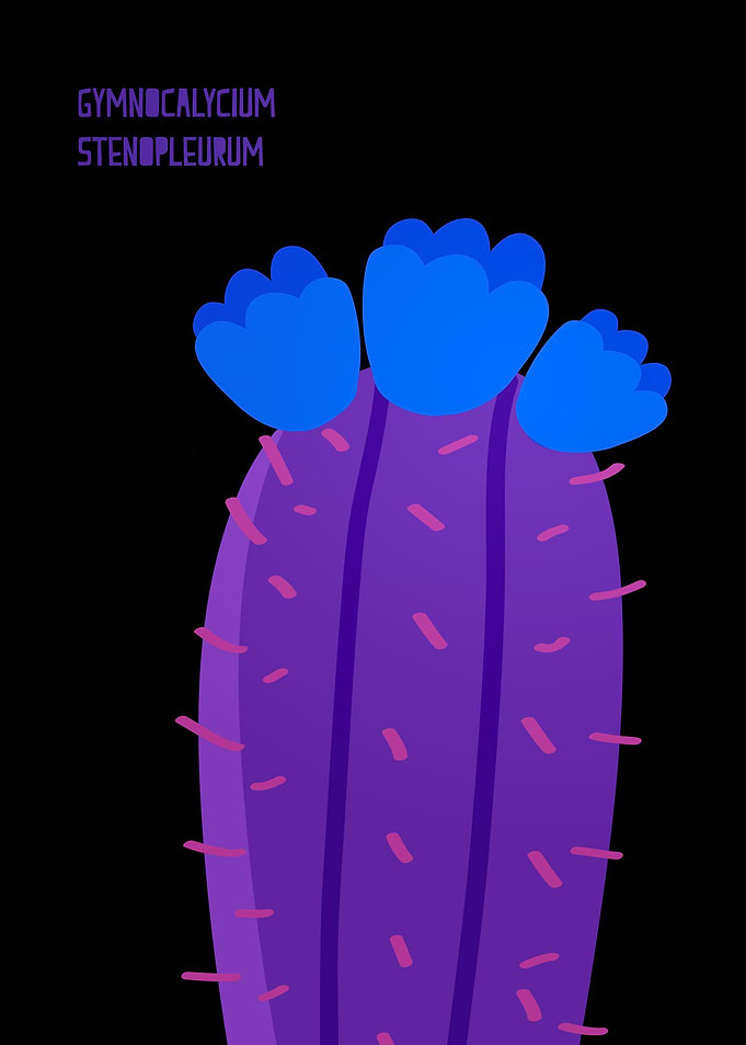 Nice Cactus