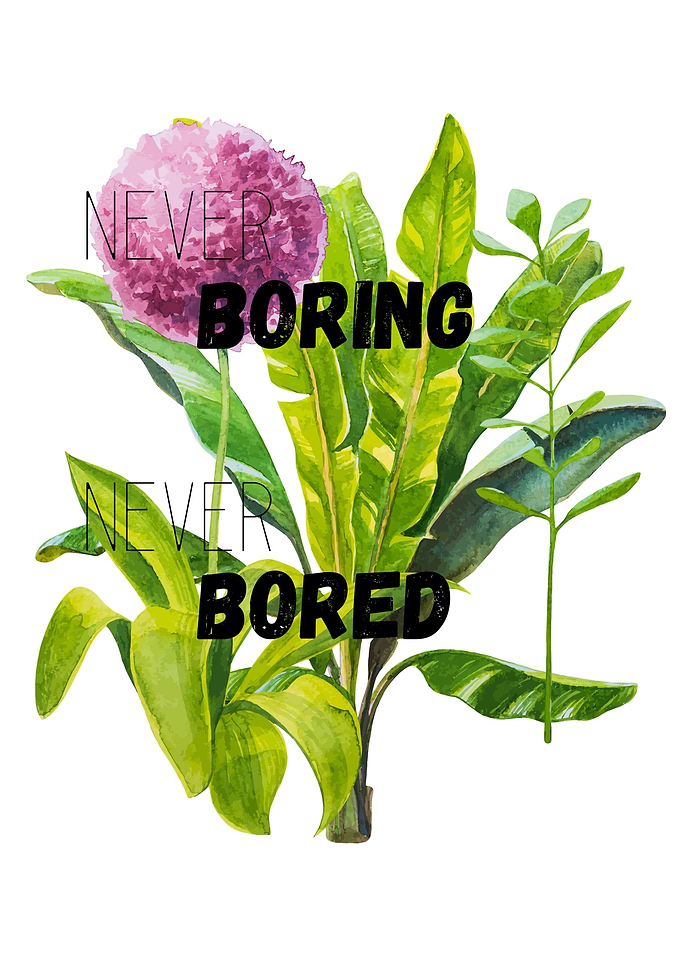 boring by gasponce