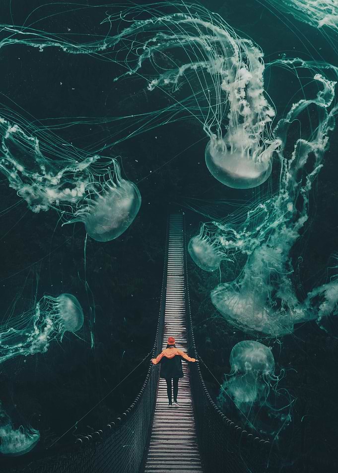 Dreaming
