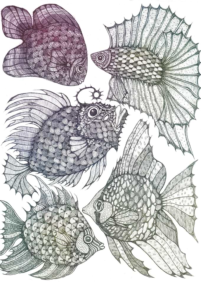 Colorful aquarium 4