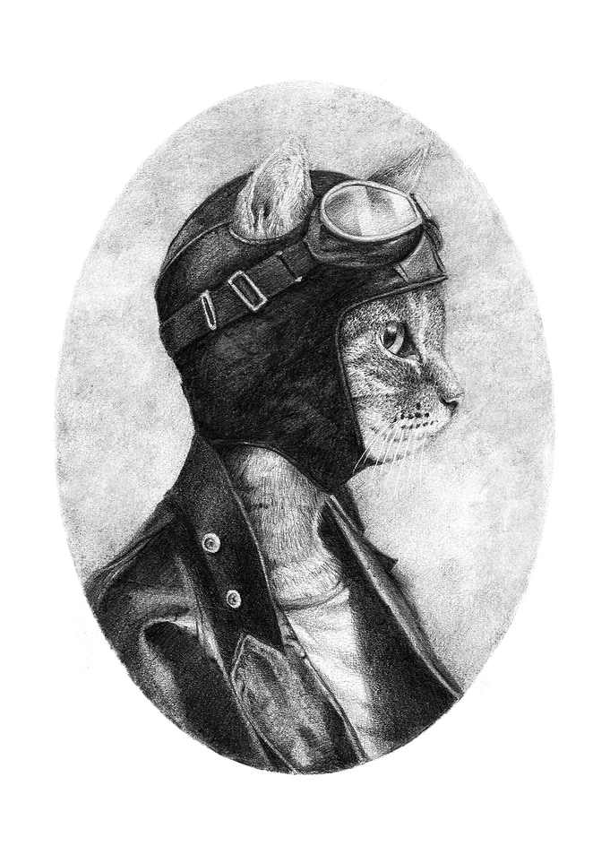Pilot