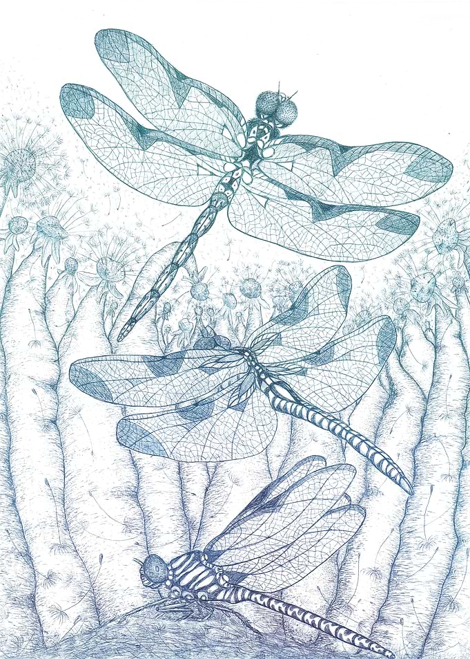 Dragonflies dandelions 1