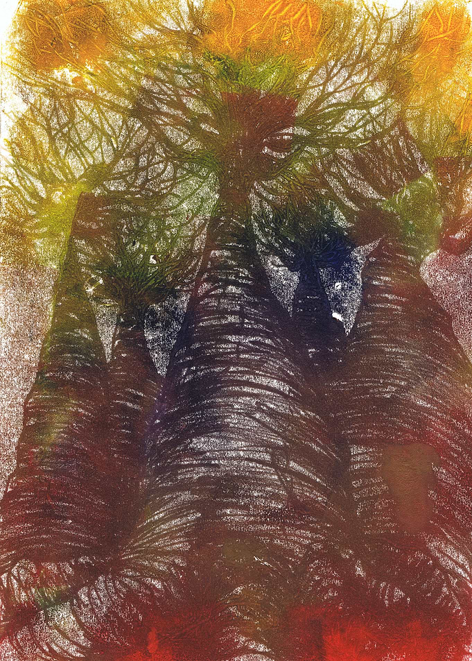 Enchanted forest