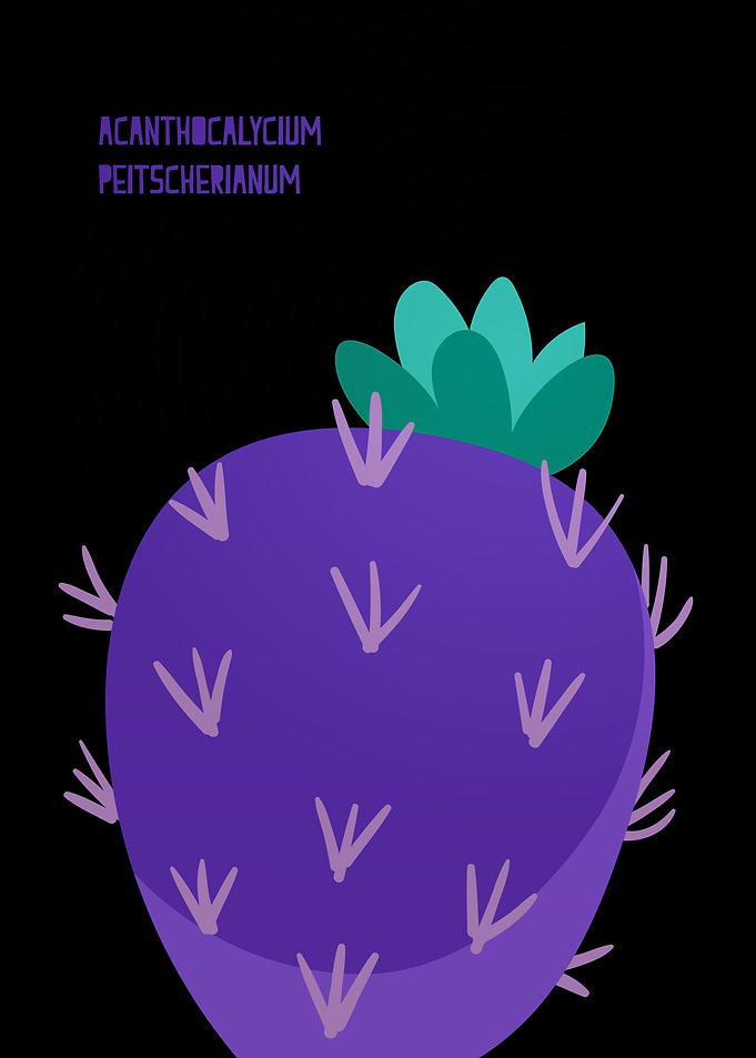 Faerie Cactus