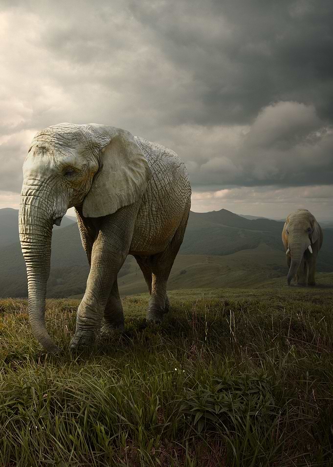 Migration 1