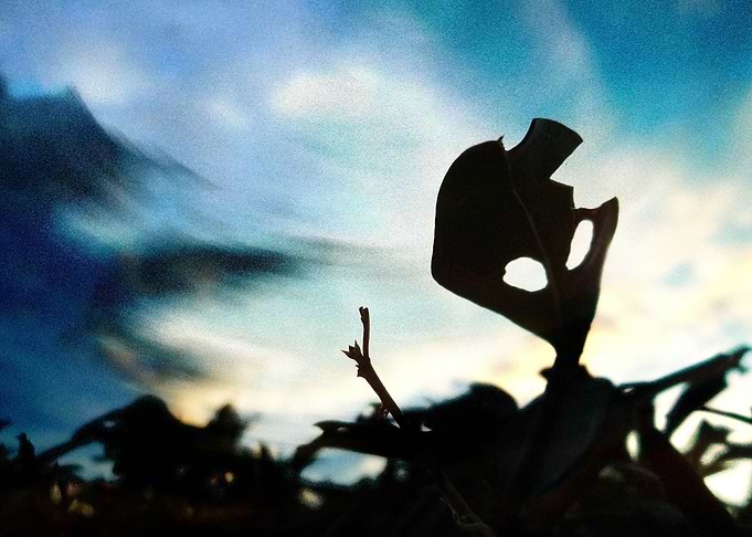 The Alien