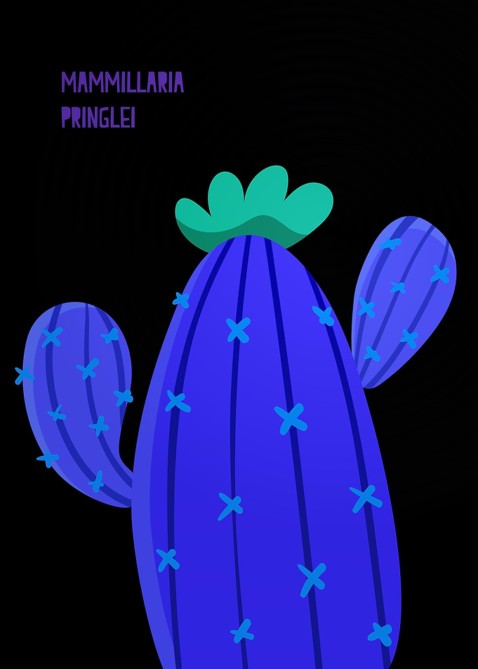 Charming Cactus