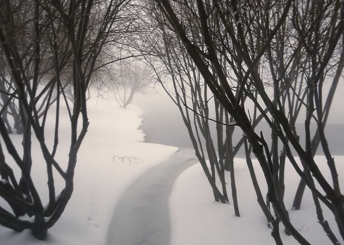 winter landscape