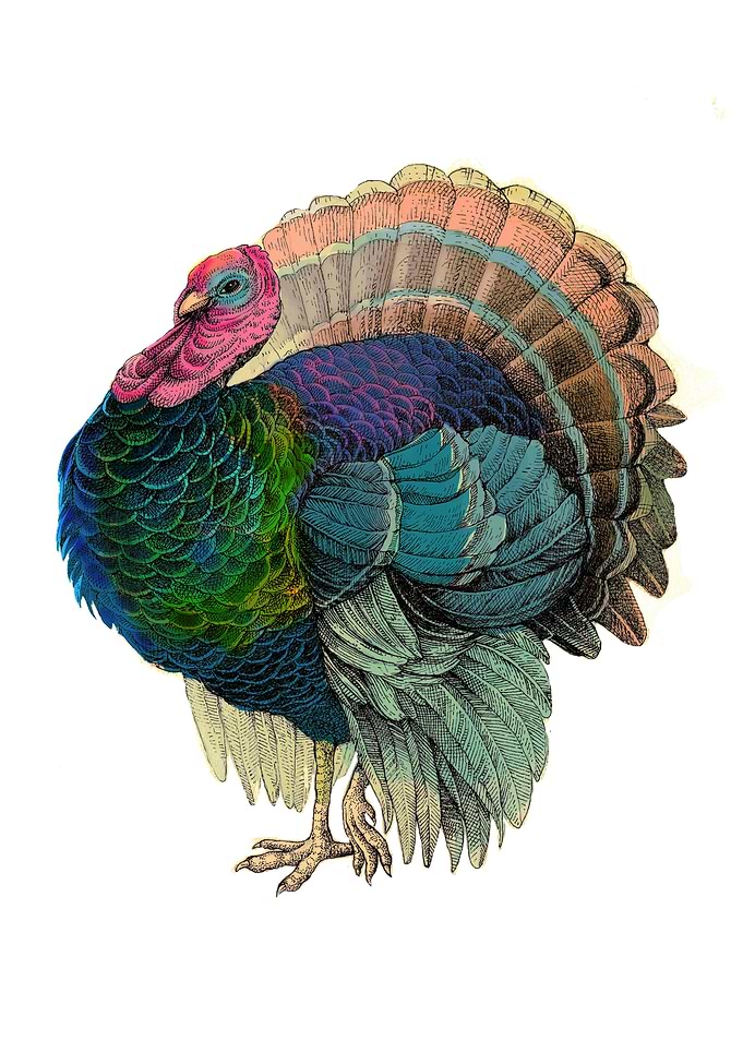 Turkey