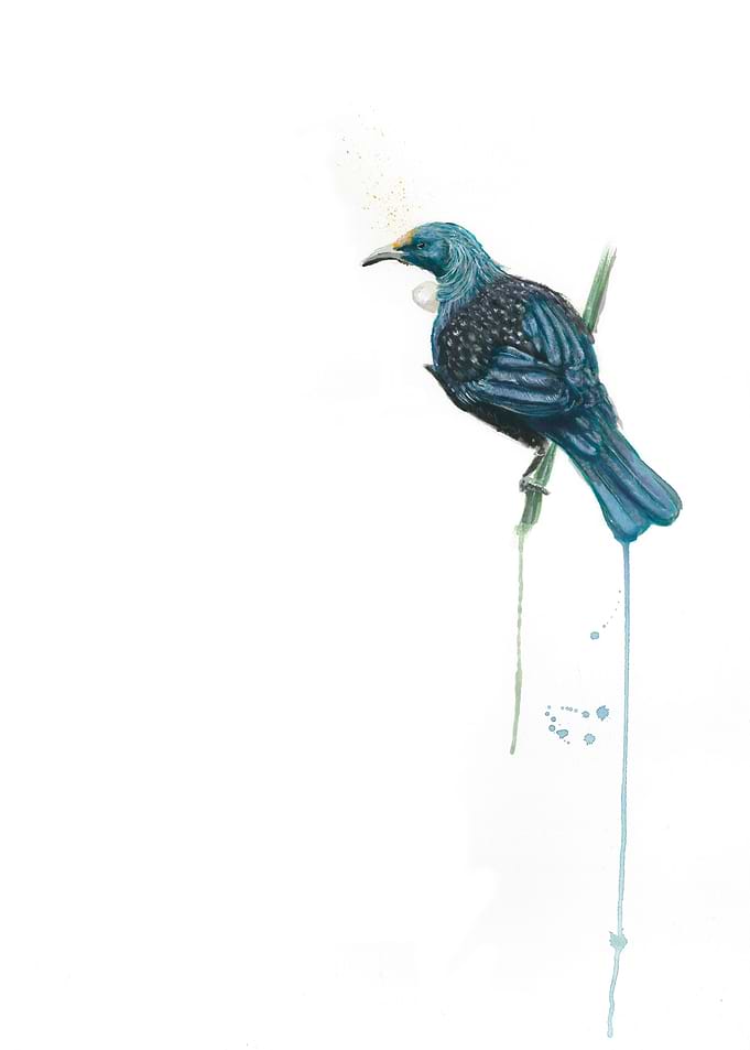 Tui