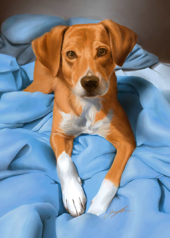 Orange on Blue