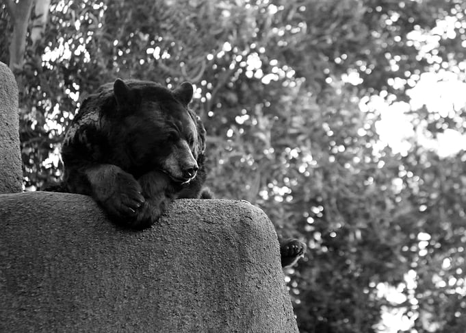 pensive day