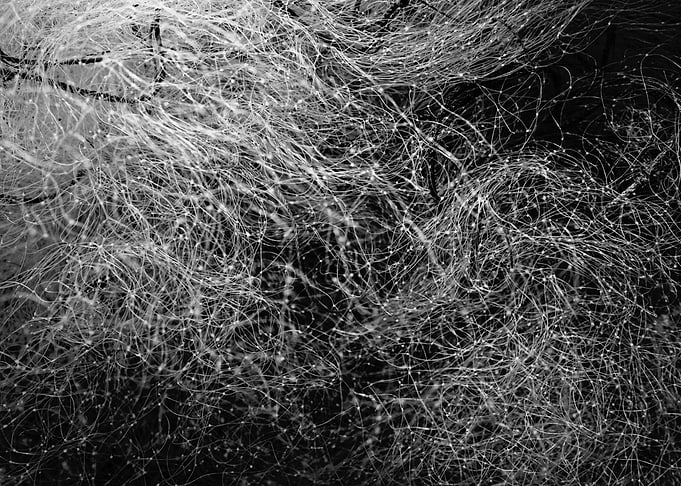 Gossamer