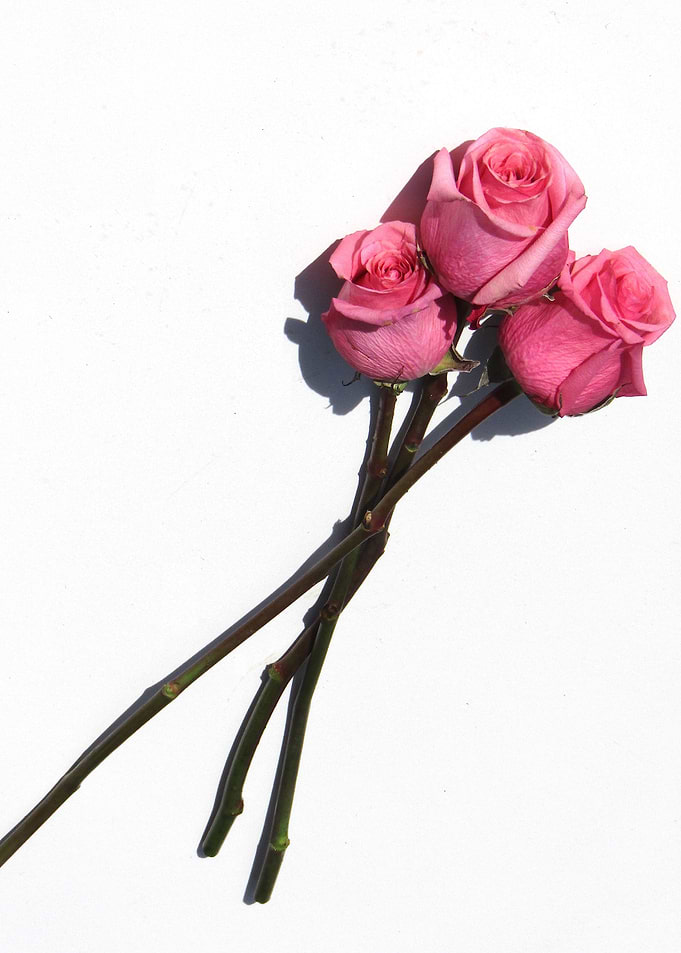 Three Roses
