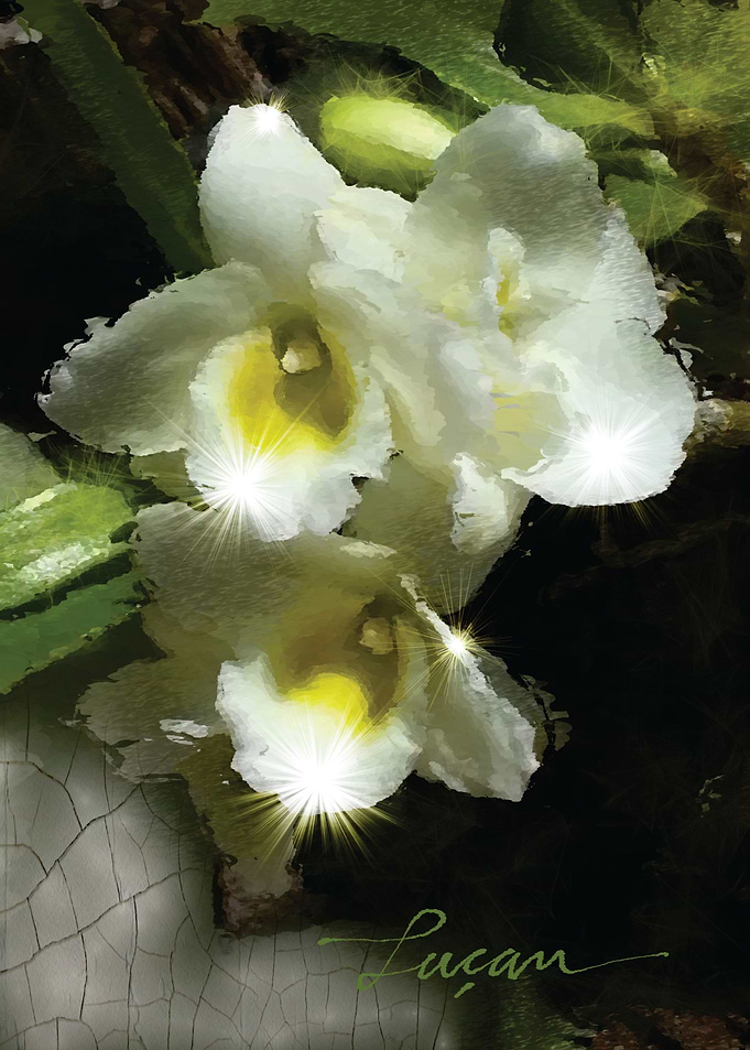 Flor 05