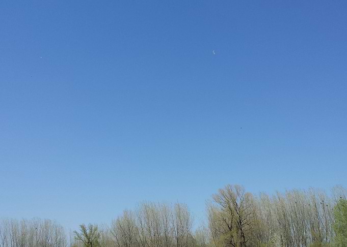Sky