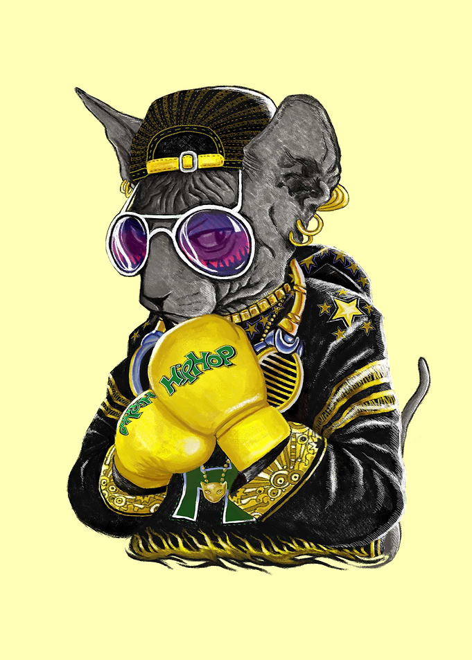 Boxing Cat 4