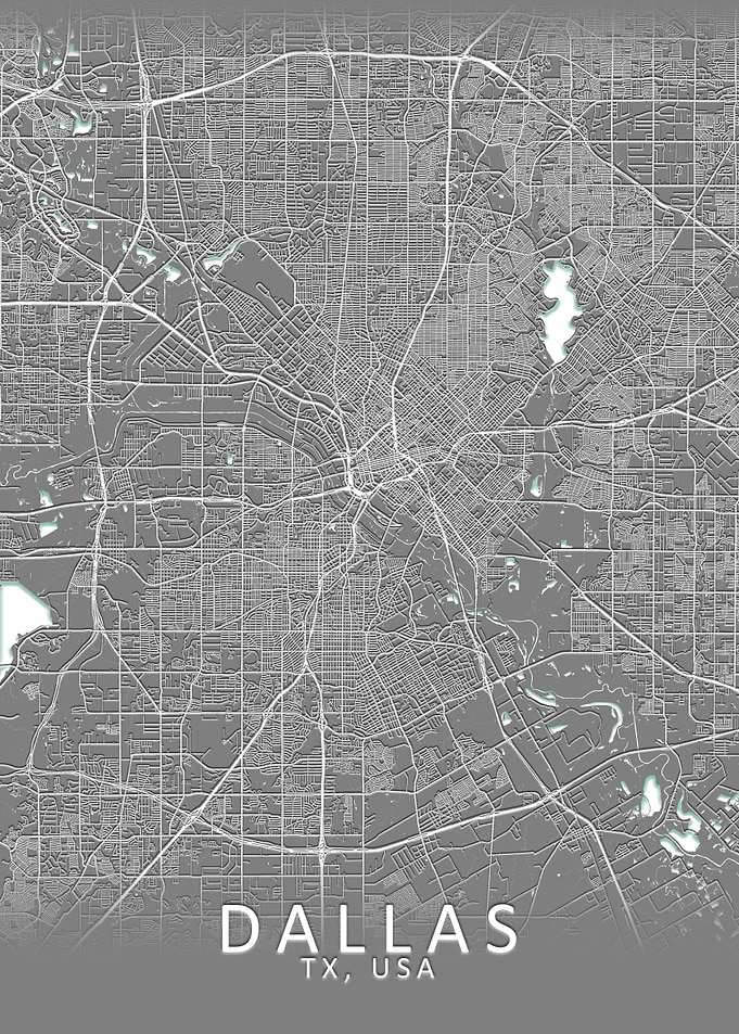 Dallas Grey City Map