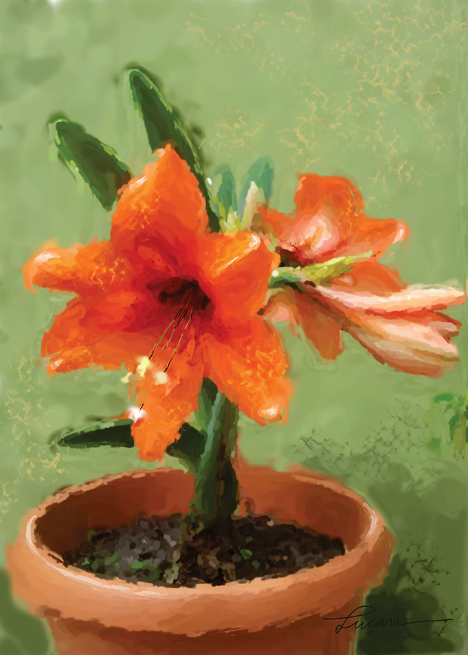 Flor 02
