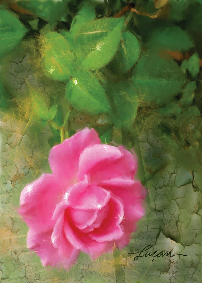 Flor 01