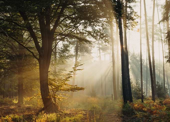 The last ray of summer