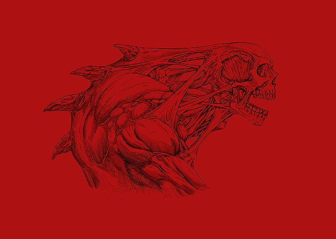 Skull Creature