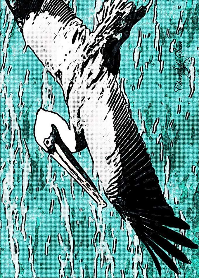 Pelican In Flight
